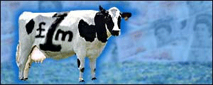 FMD Cash Cows