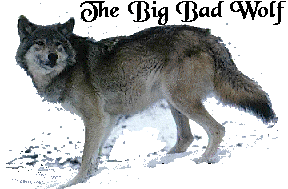 Here comes the big bad wolf...